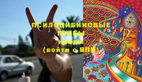 дмт Абаза