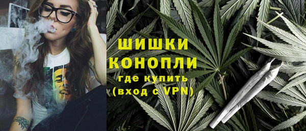 PSILOCYBIN Нягань