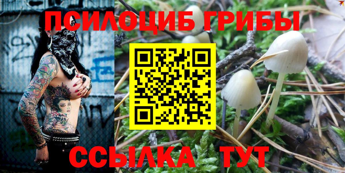 Галлюциногенные грибы Cubensis  Вход с VPN  где найти   Ипатово  Галлюциногенные грибы Cubensis 