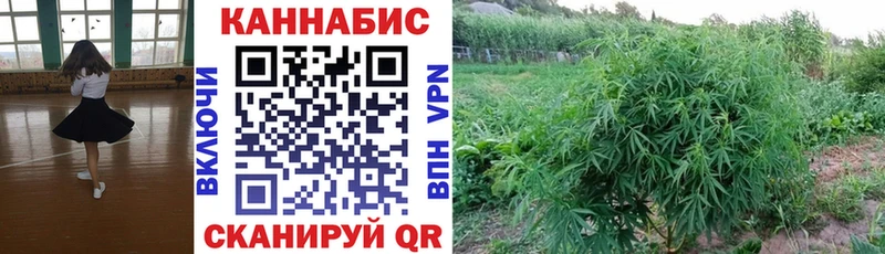 Шишки марихуана Bruce Banner  МЕГА зеркало  Ипатово 